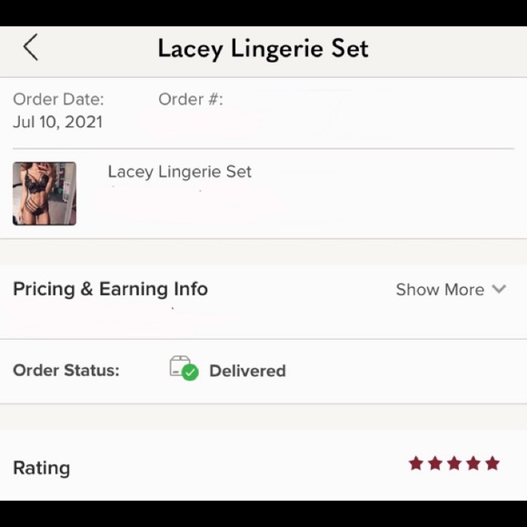 Lacey Lingerie Set - Picture 5 of 6